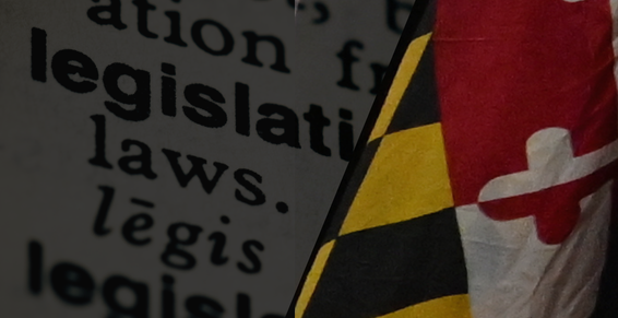 Legislative dictionary entry and part of Maryland flag (gold and black checkerboard with red and white forms)